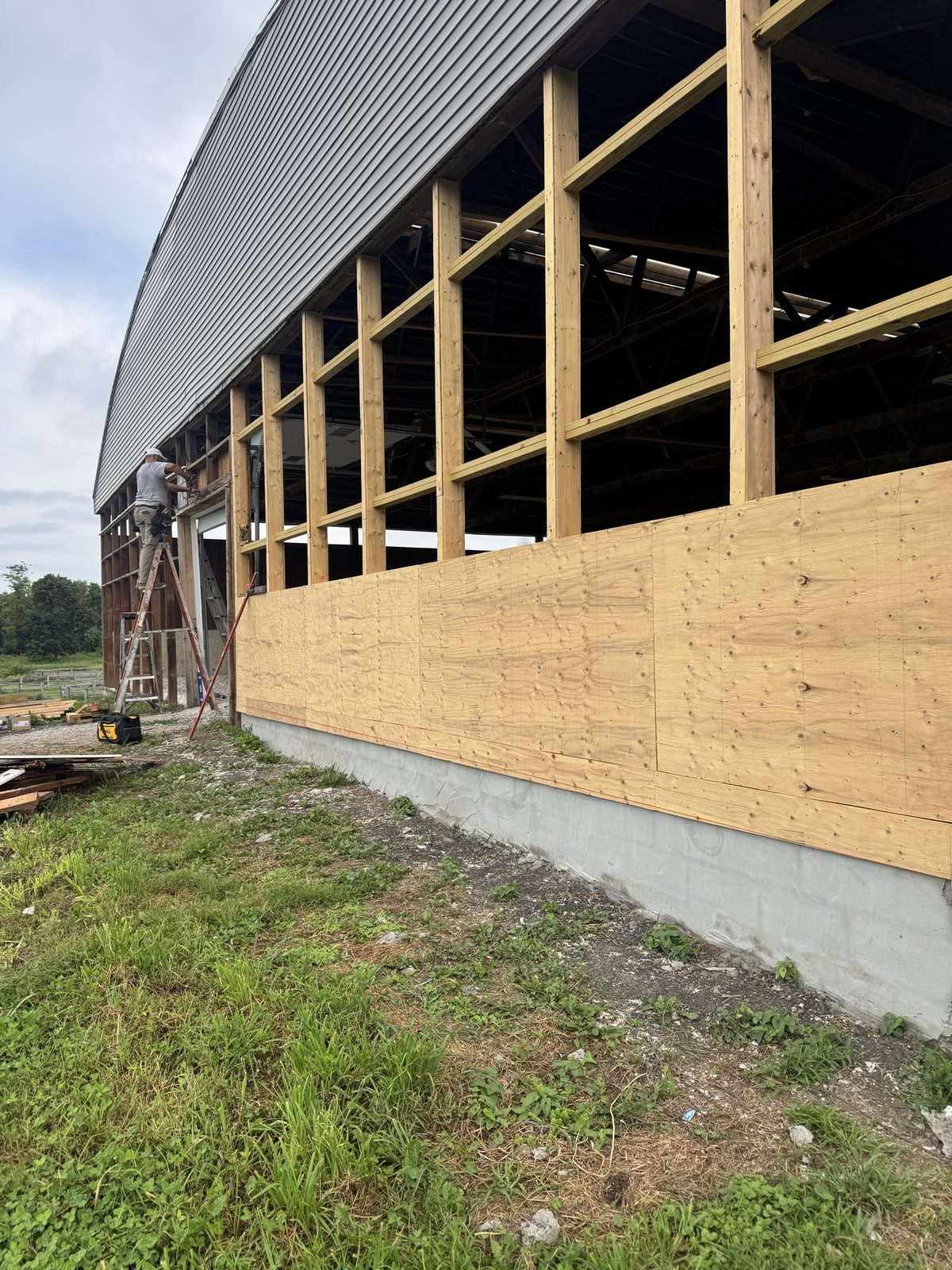 Wide side view of a barn gable wall mid-restoration with new stud framing and plywood sheathing installed beneath the curved metal roof