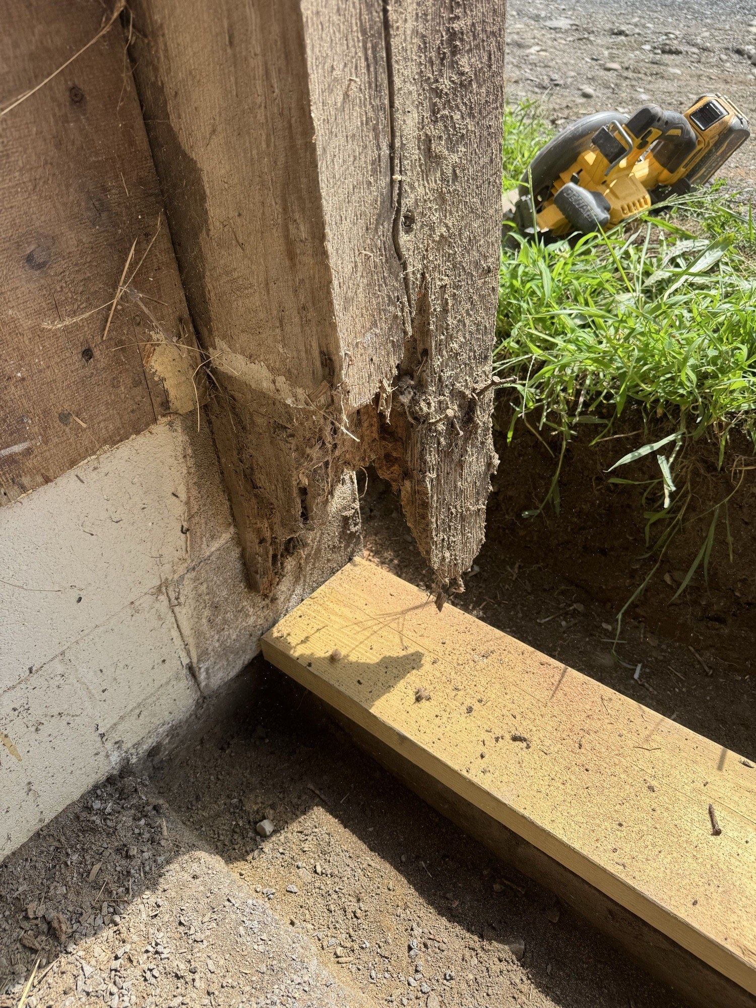 Close-up of a severely rotted structural post being prepped for replacement near a foundation